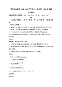 甘肃省张掖市2022-2023学年高三化学上学期第一次诊断考试试题（Word版附解析）