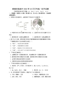 2023黄冈麻城实验高级中学高一上学期10月月考试题化学含答案