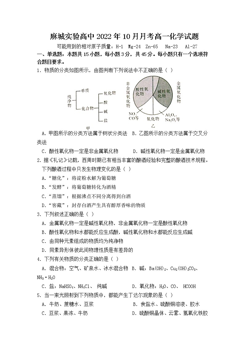 2023黄冈麻城实验高级中学高一上学期10月月考试题化学含答案第1页