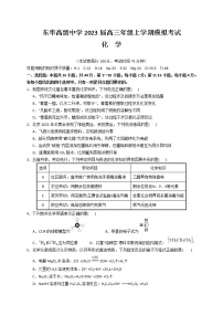 广东省东莞市东华高级中学2023届高三上学期模拟考试化学试题+Word版含答案