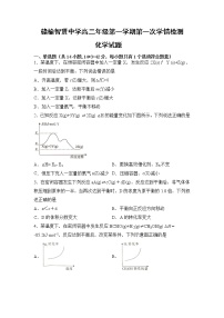 江苏省连云港市赣榆智贤中学2022-2023学年高二上学期第一次学情检测化学试题（含答案）