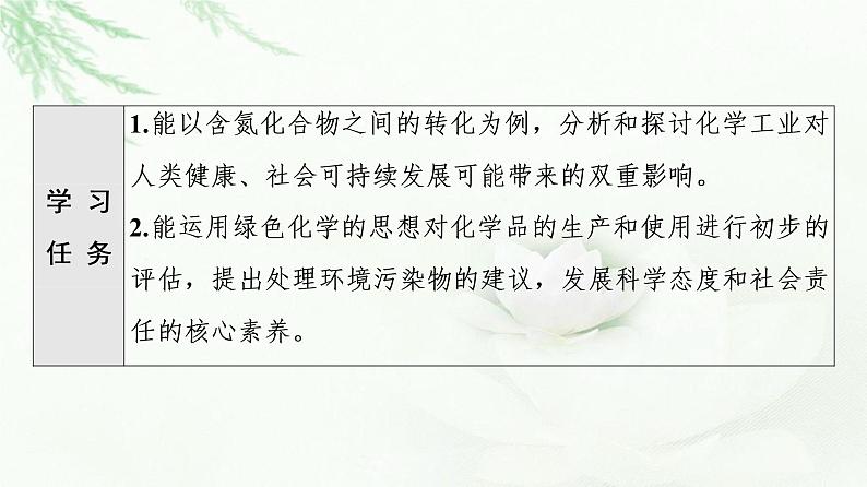 苏教版高中化学必修二专题7第3单元基础课时10含氮化合物的合理使用课件02