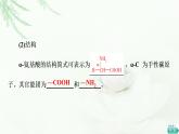 苏教版高中化学选择性必修3专题6第2单元基础课时18蛋白质课件