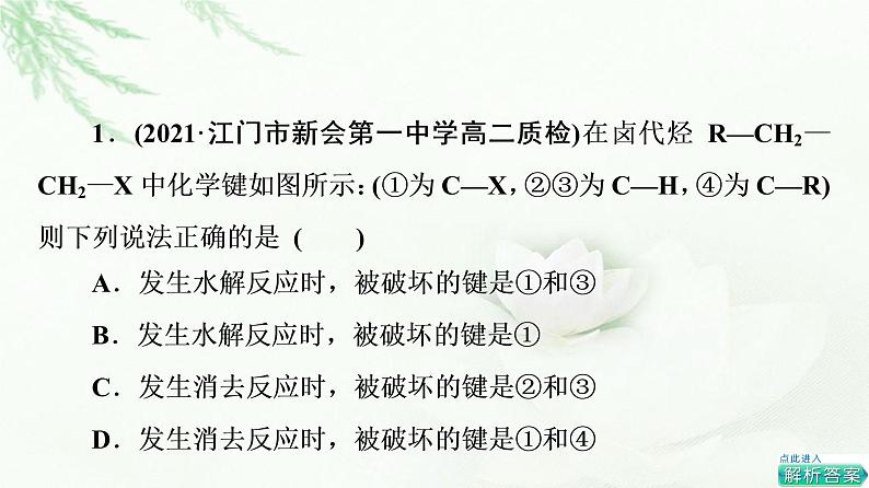 苏教版高中化学选择性必修3专题5第1单元能力课时8卤代烃的消去、水解反应原理及在有机合成中的应用课件08