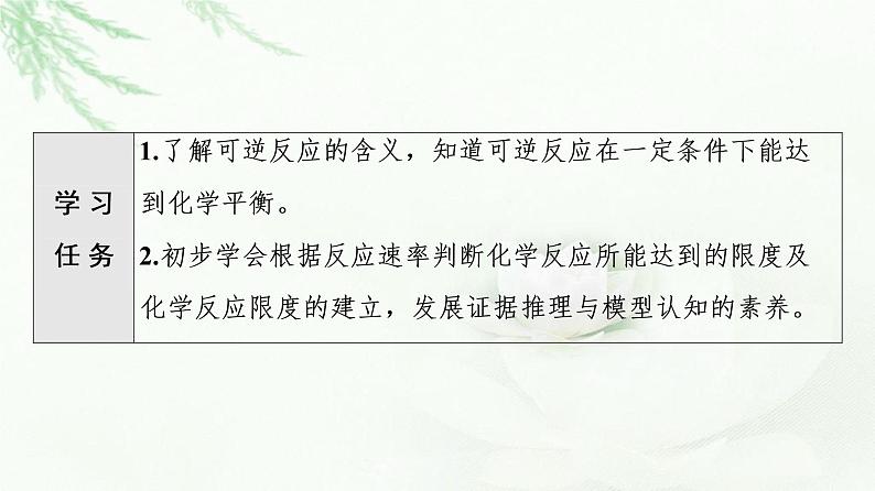 苏教版高中化学必修二专题6第1单元基础课时2化学反应的限度课件02