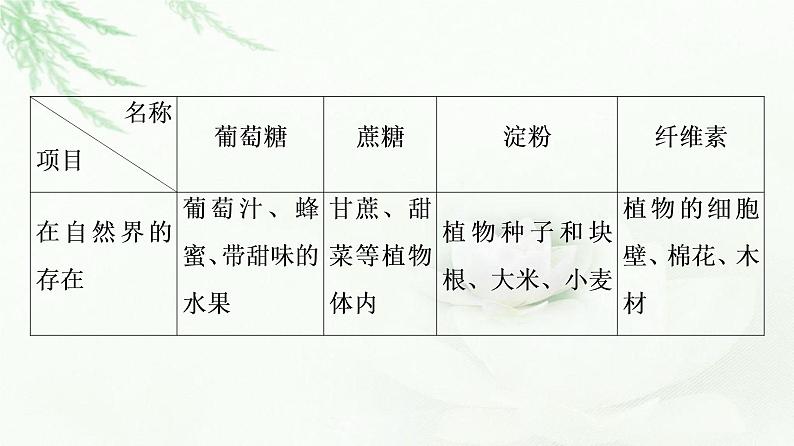 苏教版高中化学必修二专题8第2单元基础课时17糖类课件第6页