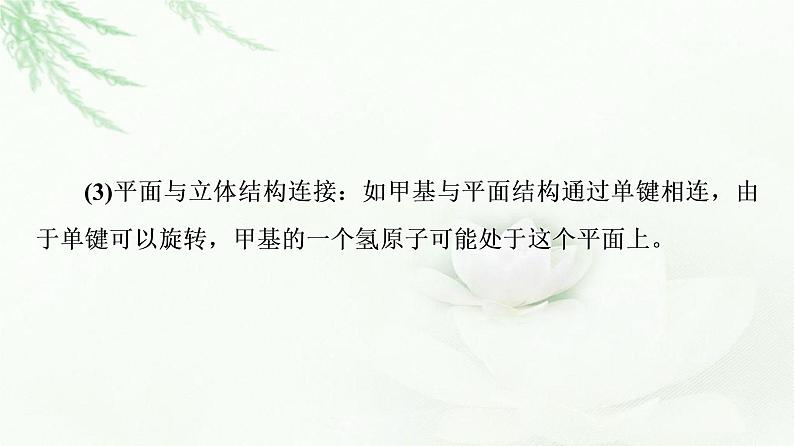 苏教版高中化学必修二专题8第1单元能力课时3有机物的结构——原子共线、共面和同分异构体的判断课件第8页