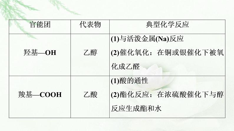 苏教版高中化学必修二专题8第2单元能力课时4有机化合物官能团的特征反应课件06