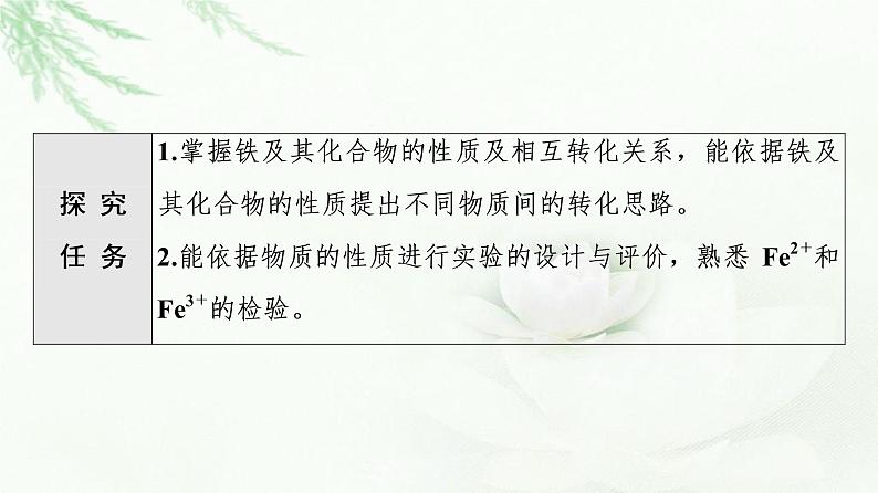 苏教版高中化学必修二专题9第2单元能力课时5铁及其化合物的性质及转化课件第2页