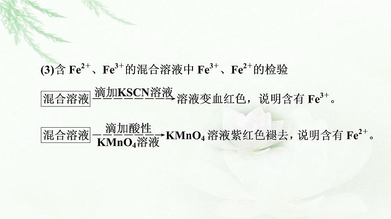 苏教版高中化学必修二专题9第2单元能力课时5铁及其化合物的性质及转化课件第6页