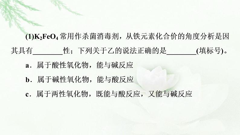 苏教版高中化学必修二专题9第2单元能力课时5铁及其化合物的性质及转化课件第8页