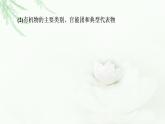 苏教版高中化学选择性必修3专题2第2单元基础课时5有机化合物的分类课件