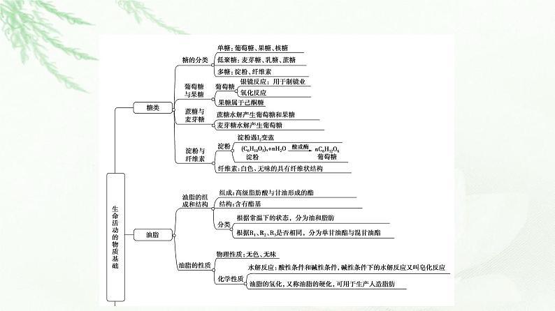 苏教版高中化学选择性必修3专题6专题总结探究课课件03