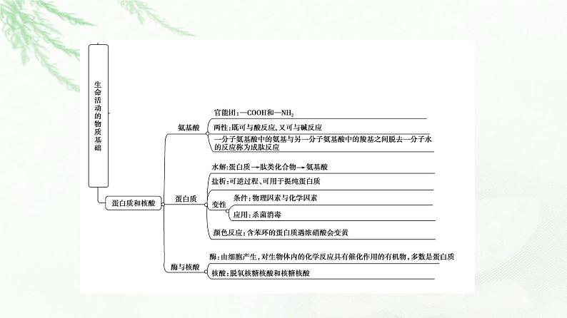 苏教版高中化学选择性必修3专题6专题总结探究课课件04