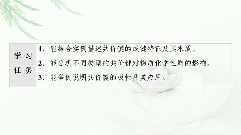 苏教版高中化学选择性必修2专题3第3单元第1课时共价键课件02