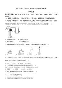 2023烟台二中高一上学期10月月考化学试题含答案