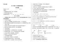 2023德州一中高一上学期10月月考化学试题含答案