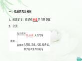苏教版高中化学选择性必修1专题1第1单元基础课时3能源的充分利用标准燃烧热课件