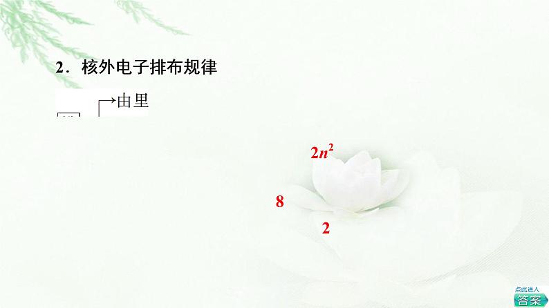 鲁科版高中化学必修第二册第1章第1节基础课时2核外电子排布原子结构与元素原子得失电子能力课件05