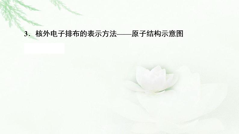 鲁科版高中化学必修第二册第1章第1节基础课时2核外电子排布原子结构与元素原子得失电子能力课件06