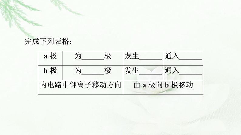 鲁科版高中化学必修第二册第2章第2节基础课时9化学反应能量转化的重要应用——化学电池课件第8页