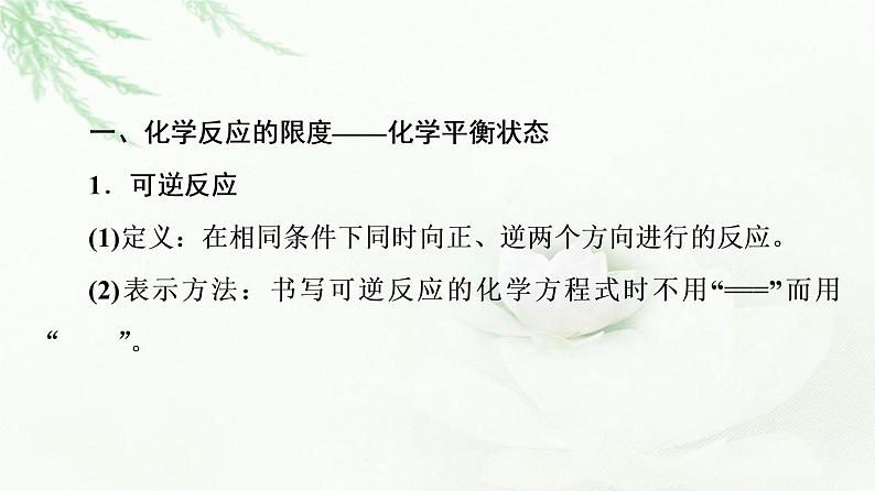 鲁科版高中化学必修第二册第2章第3节基础课时11化学反应的限度课件04