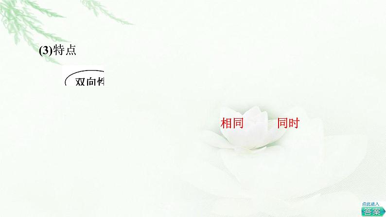 鲁科版高中化学必修第二册第2章第3节基础课时11化学反应的限度课件05