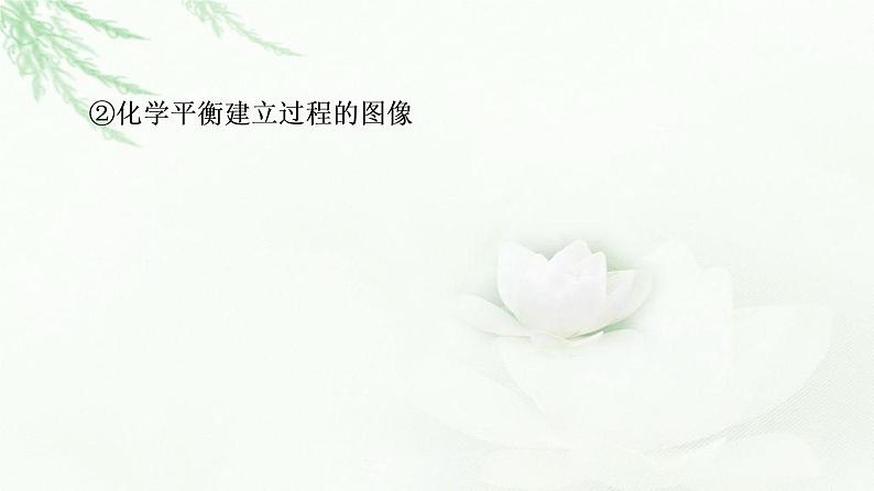 鲁科版高中化学必修第二册第2章第3节基础课时11化学反应的限度课件07