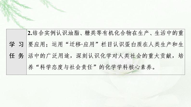 鲁科版高中化学必修第二册第3章第3节基础课时19糖类、油脂和蛋白质课件03