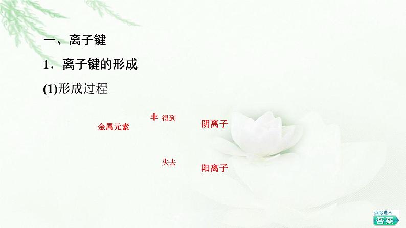 鲁科版高中化学选择性必修2第2章第3节基础课时9离子键、配位键与金属键课件04