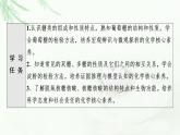 魯科版高中化學(xué)選擇性必修3第2章第3節(jié)基礎(chǔ)課時13糖類和核酸課件
