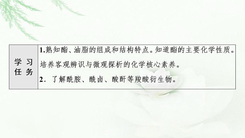 鲁科版高中化学选择性必修3第2章第4节基础课时15羧酸衍生物课件02