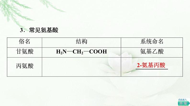 鲁科版高中化学选择性必修3第2章第4节基础课时16氨基酸和蛋白质课件05