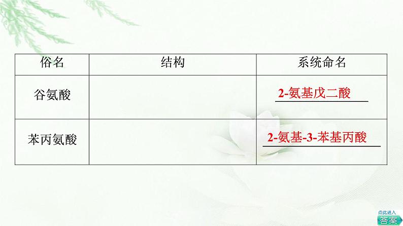 鲁科版高中化学选择性必修3第2章第4节基础课时16氨基酸和蛋白质课件06