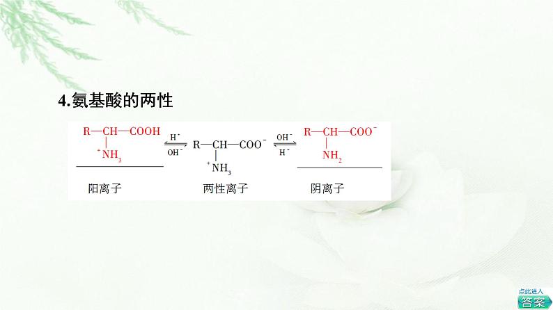 鲁科版高中化学选择性必修3第2章第4节基础课时16氨基酸和蛋白质课件07