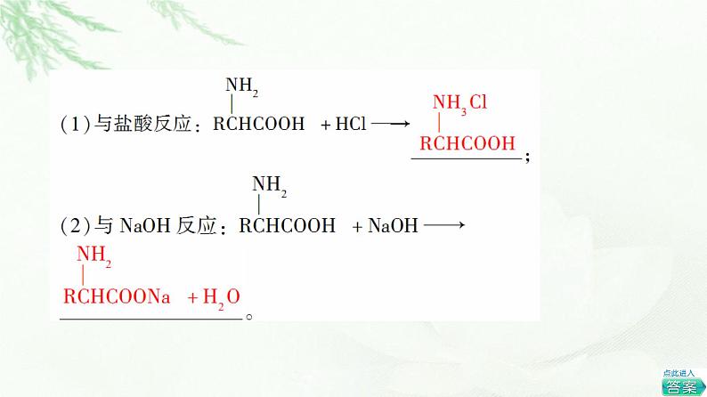 鲁科版高中化学选择性必修3第2章第4节基础课时16氨基酸和蛋白质课件08