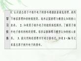 魯科版高中化學(xué)選擇性必修2第1章第2節(jié)基礎(chǔ)課時2基態(tài)原子的核外電子排布課件