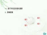 鲁科版高中化学选择性必修2第1章第3节基础课时4原子半径及其变化规律元素的电离能及其变化规律课件