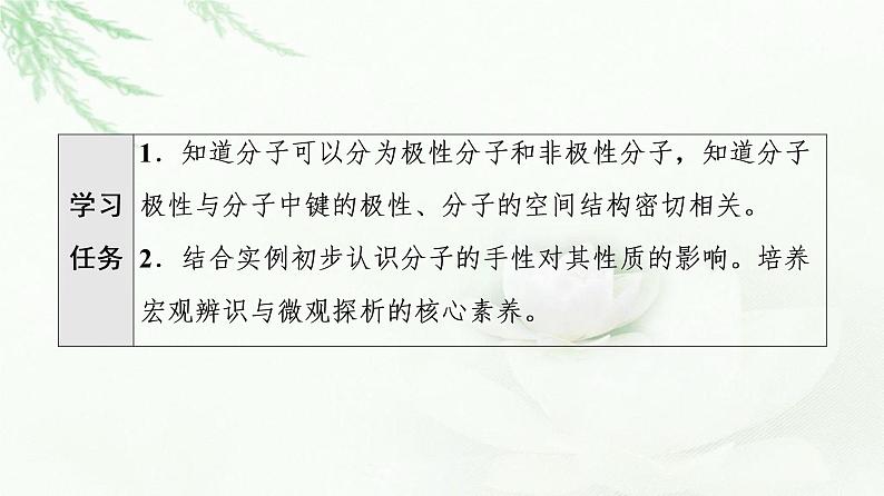 鲁科版高中化学选择性必修2第2章第2节基础课时8分子的空间结构与分子性质课件第2页