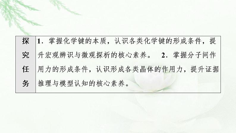 鲁科版高中化学选择性必修2第2章第4节能力课时3化学键、范德华力和氢键的判断与应用课件02