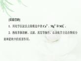 人教版高中化学必修第二册第5章第3节实验活动4用化学沉淀法去除粗盐中的杂质离子课件+学案