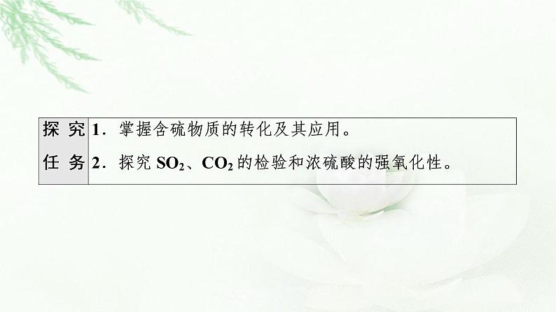 人教版高中化学必修第二册第5章第1节能力课时1含硫物质的转化及其综合实验课件+学案02