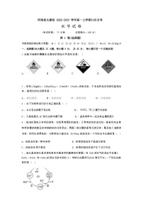 河南省周口市太康县2022-2023学年高一上学期10月月考化学试题（Word版含答案）