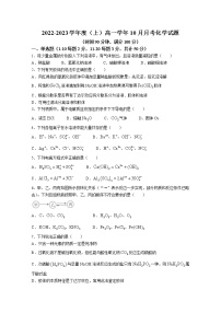 黑龙江省双鸭山市第一中学2022-2023学年高一化学10月月考试题（Word版附答案）