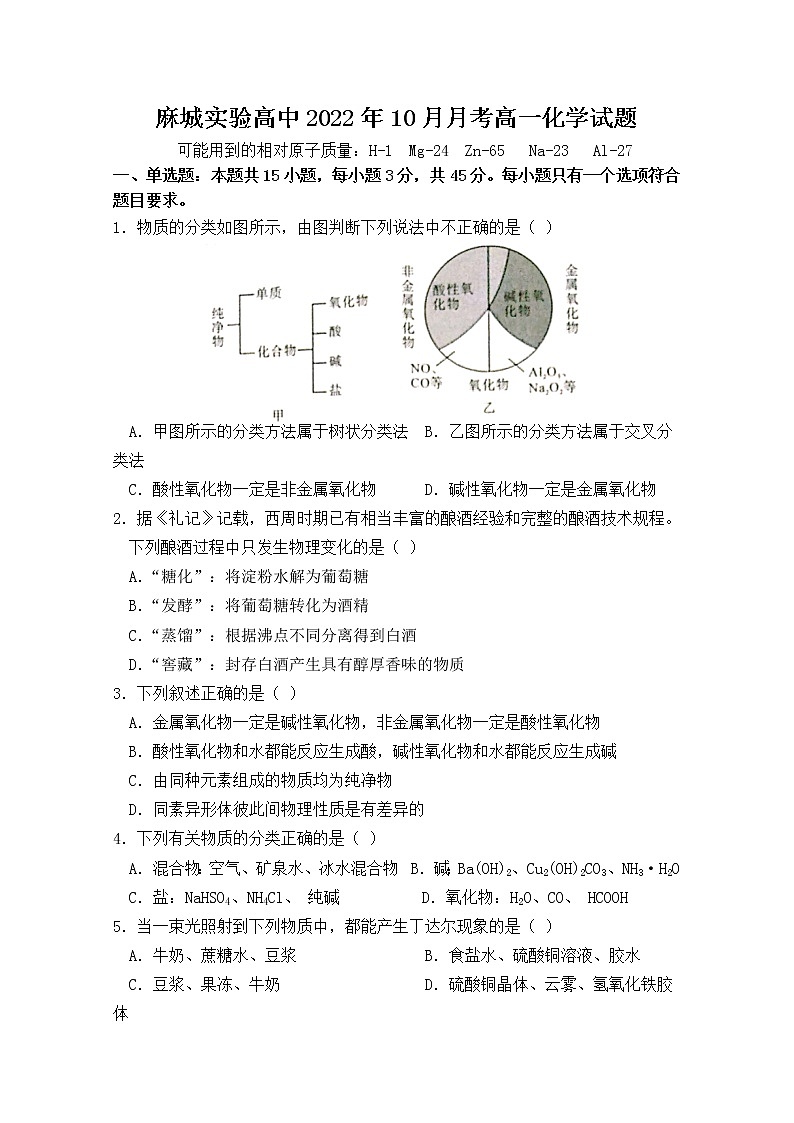 湖北省黄冈市麻城市实验高级中学2022-2023学年高一化学上学期10月月考试题（Word版附答案）第1页