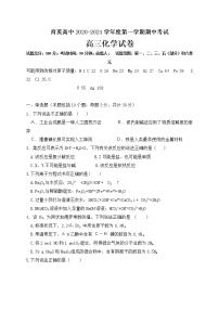 2021朝阳育英高考补习学校高三上学期期中考试化学试题含答案