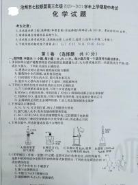 2021沧州七校联盟高三上学期期中考试化学试题扫描版含答案