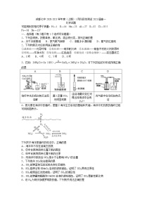 2021成都七中高一上学期1月阶段性测试化学试题含答案