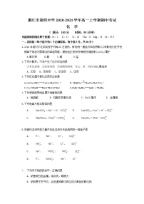 2021湛江四中高一上学期期中考试化学试题含答案