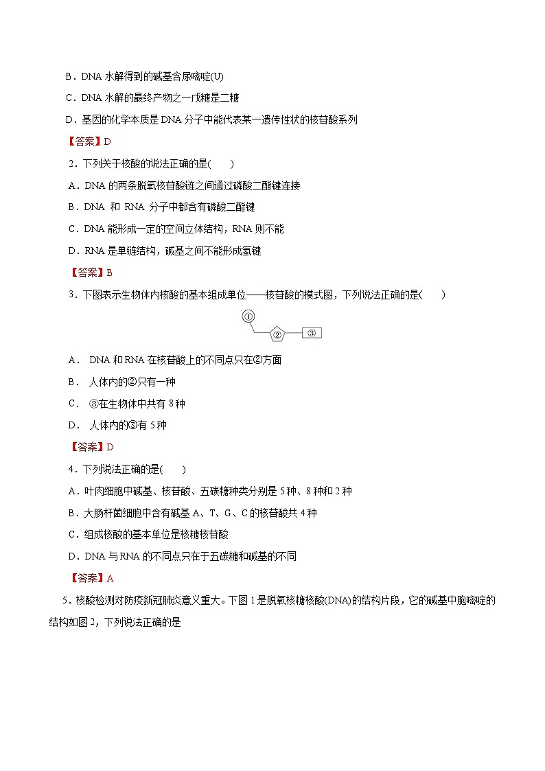 2023年高考化学一轮复习小题多维练- 第58练  核酸第3页